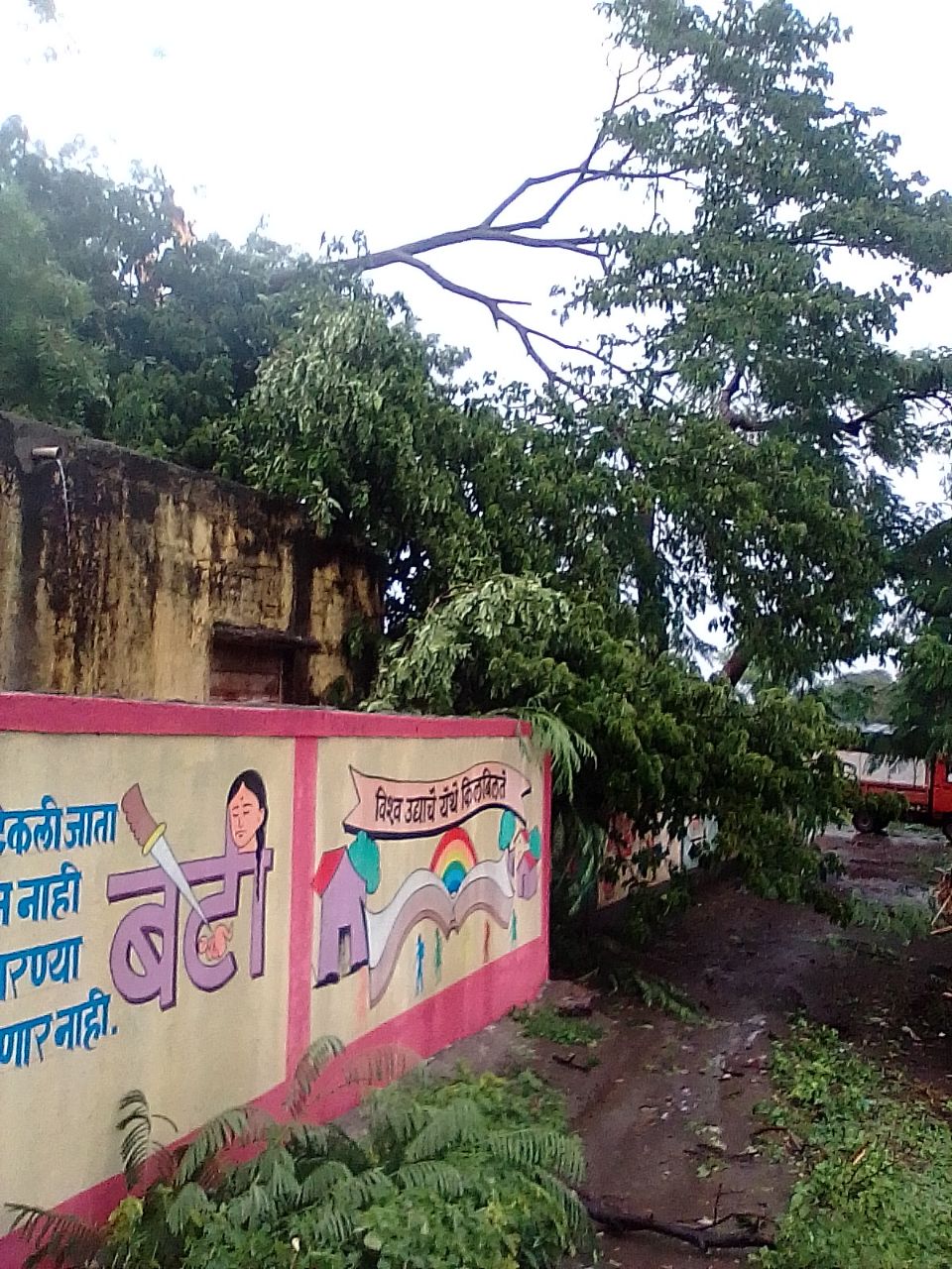 जि.प.शाळा उंभरे येथील शाळेचं वृक्षांमुळे  झालेलं नुकसान