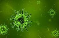 पिंपरी-चिंचवडमध्ये H3N2 संसर्गाने मृत्यू, शहरात नवीन आजाराने पहिला मृत्यू, आतापर्यंत चार रुग्ण आढळले