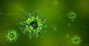 पिंपरी-चिंचवडमध्ये H3N2 संसर्गाने मृत्यू, शहरात नवीन आजाराने पहिला मृत्यू, आतापर्यंत चार रुग्ण आढळले